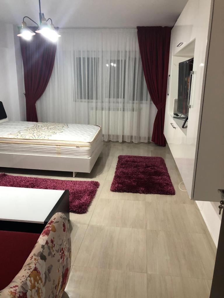 Ana Studio Apartment Galaţi Eksteriør billede